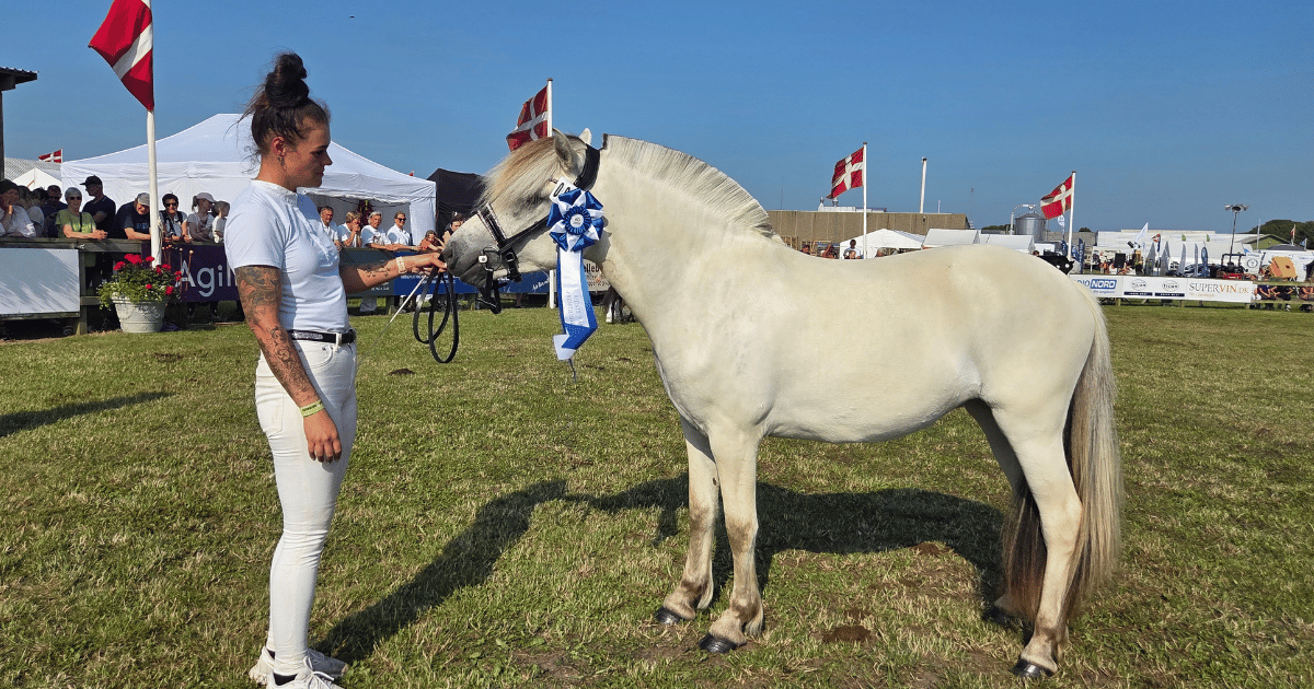2 års fremtidshest