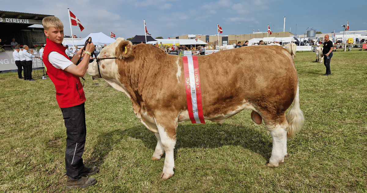 INterbreed bedste handyr