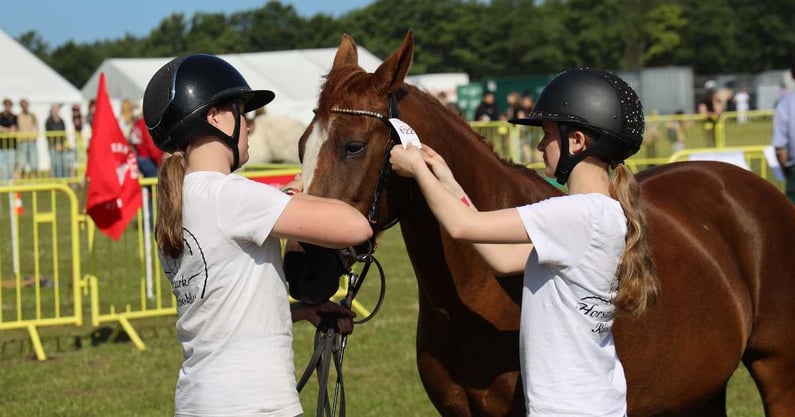1200x630 Hjørring Dyrskue pony hest børn